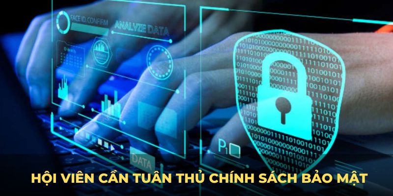 Hội viên cần tuân thủ Chính sách bảo mật BK8 dữ liệu