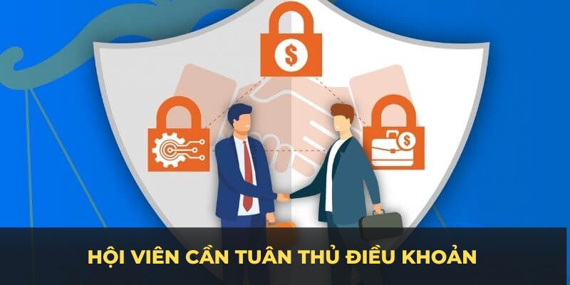 Hội viên cần tuân thủ điều khoản sử dụng BK8