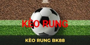 Kèo Rung BK8 - Cẩm nang chi tiết cách chơi hiệu quả