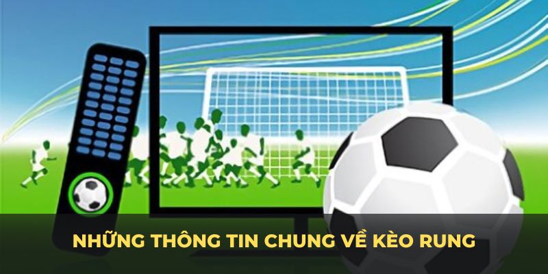 Những thông tin chung về Kèo rung mà bạn nên biết